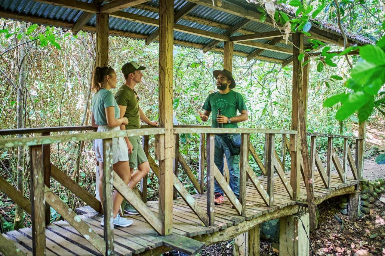 Finca Luna Nueva Lodge ラ・フォルトゥナ エクステリア 写真