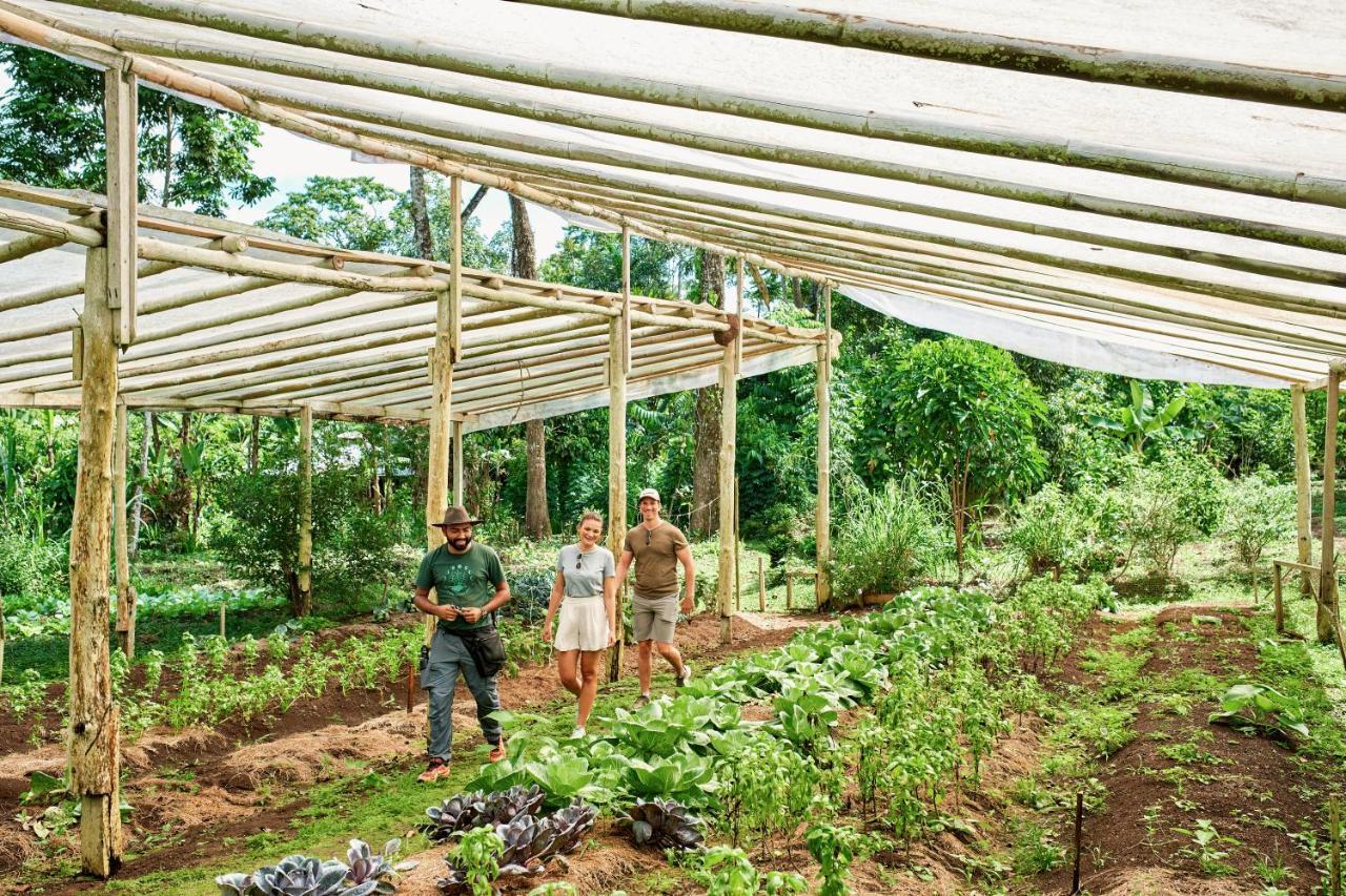 Finca Luna Nueva Lodge ラ・フォルトゥナ エクステリア 写真