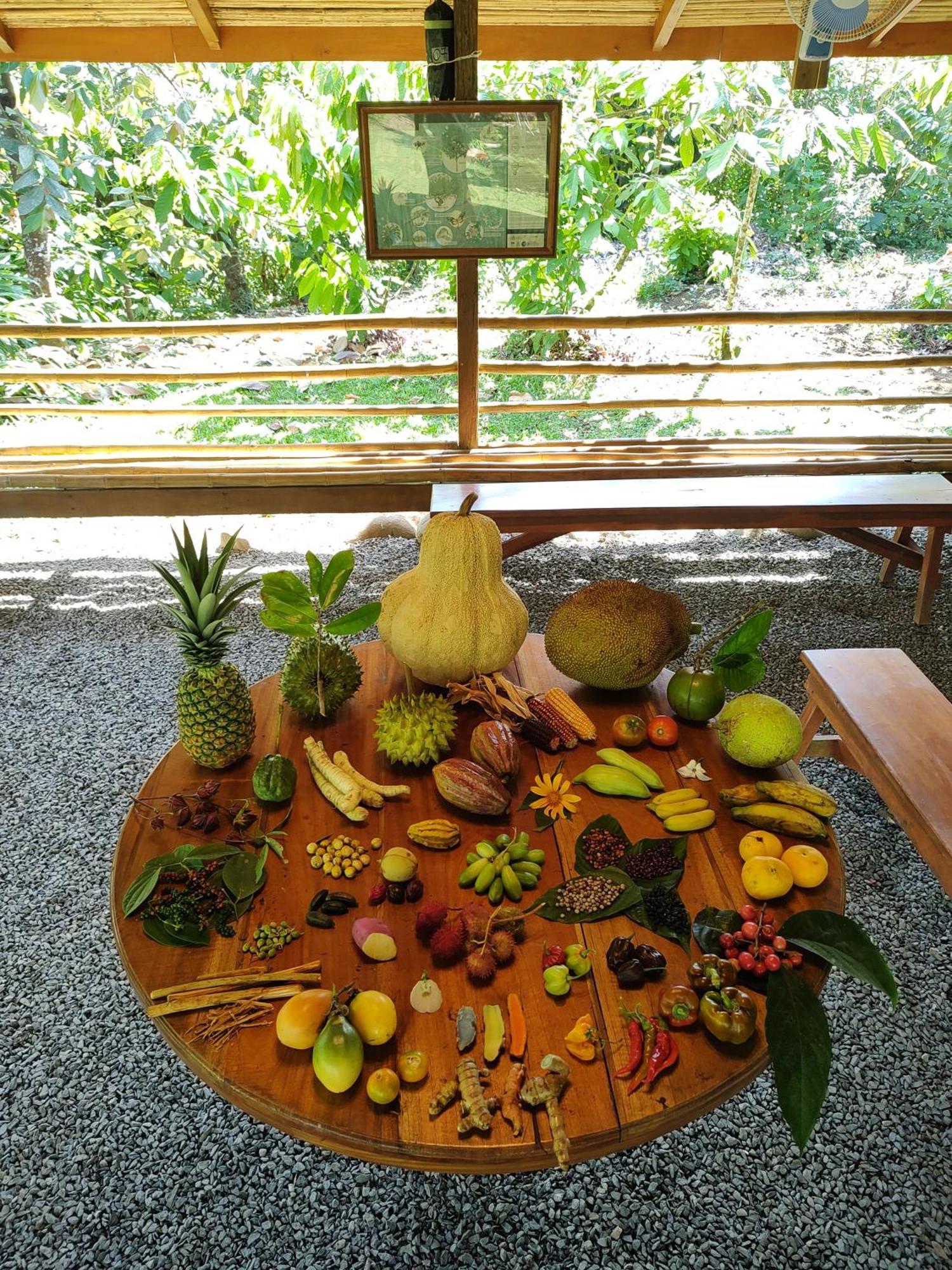 Finca Luna Nueva Lodge ラ・フォルトゥナ エクステリア 写真